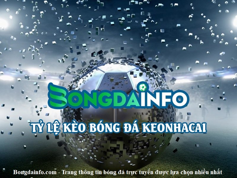 Bongdainfo.com – Trang thông tin bóng đá trực tuyến được lựa chọn nhiều nhất